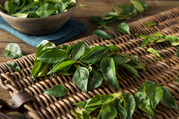Curry Leaves Natural Leaf 100 gram
