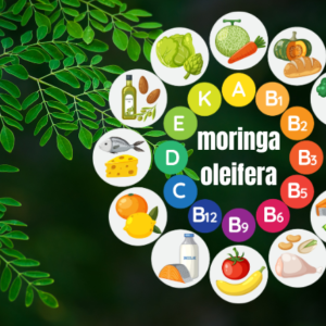 Ebook Moringa Oleifera Mineral And Vitamin